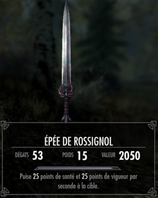 _epee_rossignol.jpg