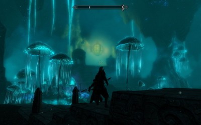 ScreenShot20.jpg (69.77 Kio) Consulté 16056 fois Le monde DWERMER est quand même bizarre